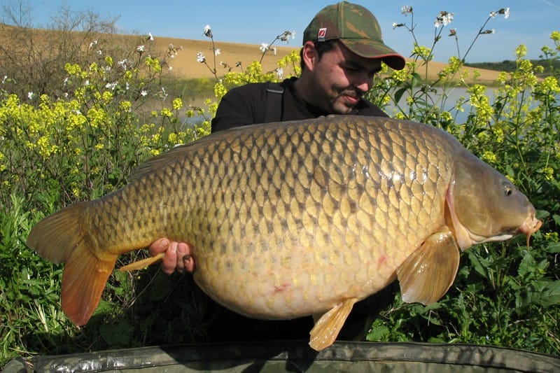 galerie-peche-nature-toulouse-castelnaudary-1