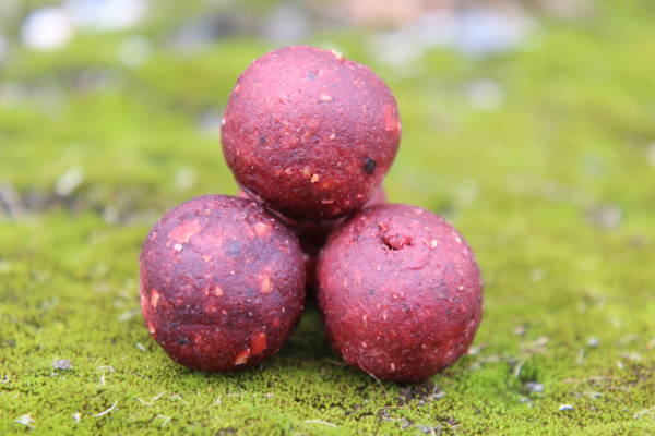 Bouillettes DEEPSEA