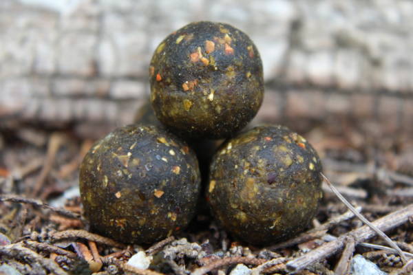 Bouillettes NATUR'ALT