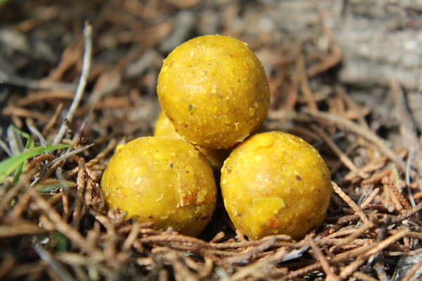Bouillettes AHP