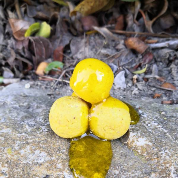 LIQUID'ACID