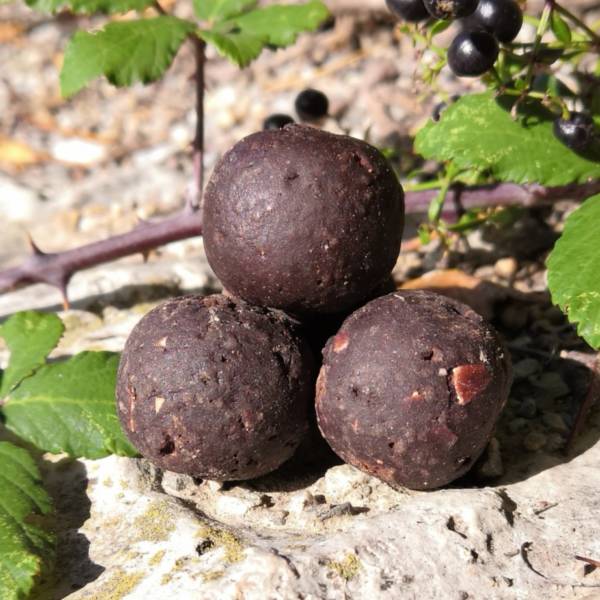 Bouillettes BLACKBERRY