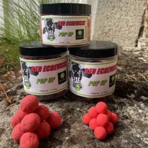 POP UP RED ECREVISSE