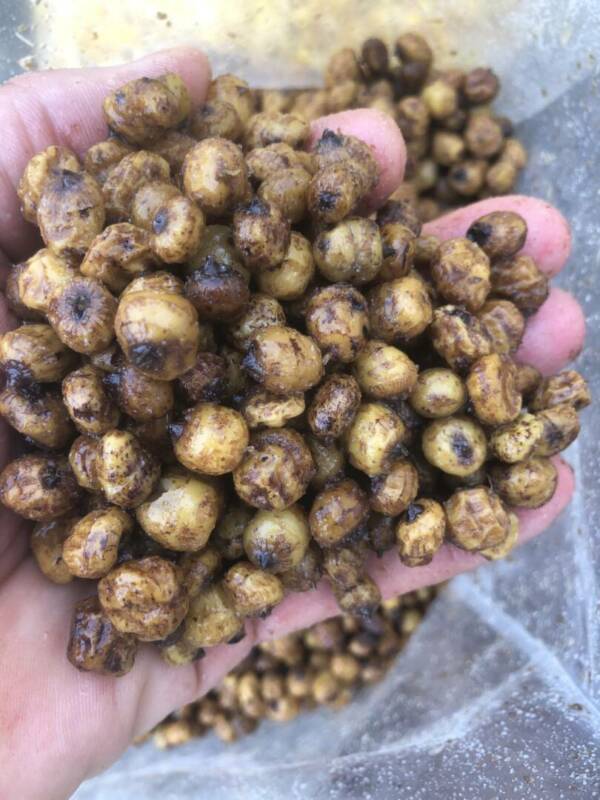 TIGERNUTS CUITES PRETES A L'EMPLOI