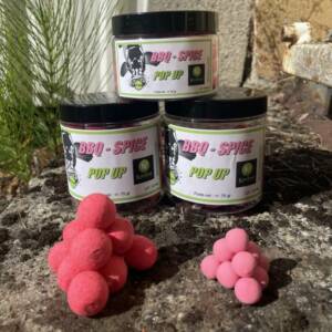 POP UP BBQ - SPICE