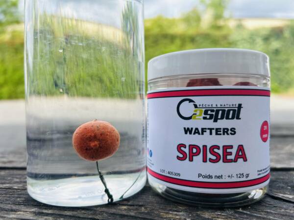 WAFTERS SPISEA
