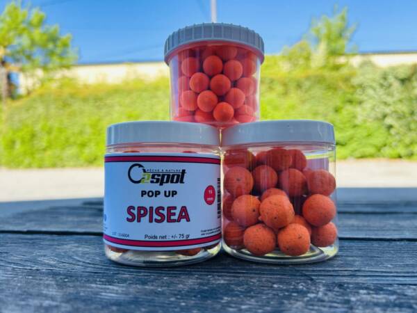 POP UP SPISEA