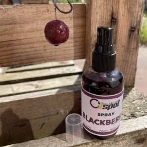 SPRAY BLACKBERRY - 100 ml