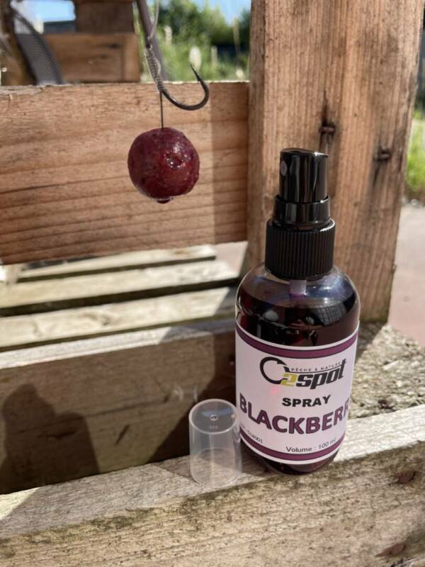 SPRAY BLACKBERRY - 100 ml
