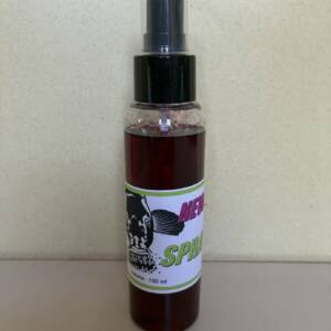 SPRAY NEWBERRY - 100 ml